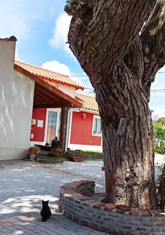 Casa De Campo A 5 Minutos Da Praia Atouguia Da Baleia Bagian luar foto
